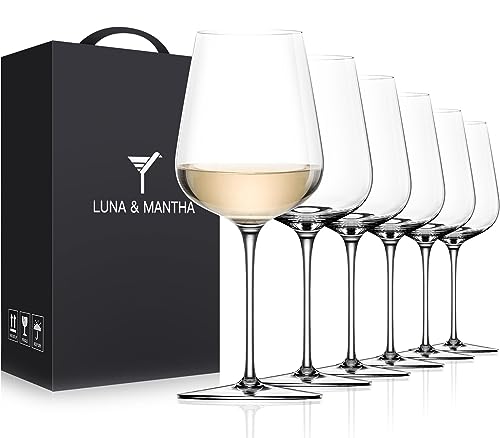 White Wine Glasses Set of 6 (Set of 6-14oz)
