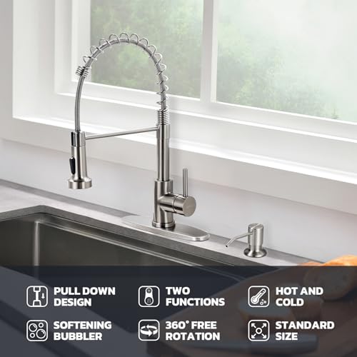Kitchen Faucet with Soap Dispenser (Brushed Nickel)