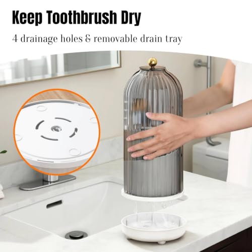 Dustproof Toothbrush Holder Organizer with Drainage