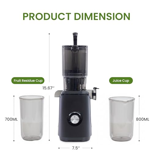 Cold Press Juicer (Black / 200W)