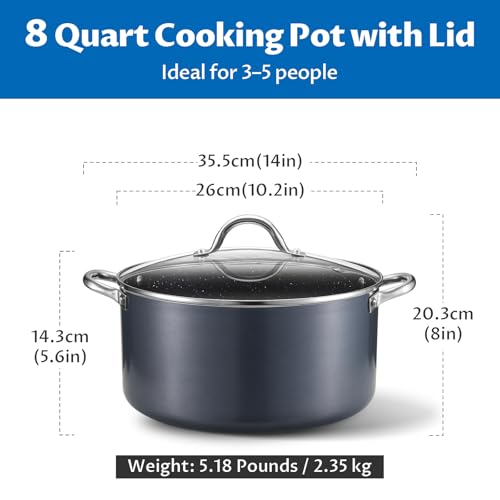 8 Quart Nonstick Stock Pot with Lid