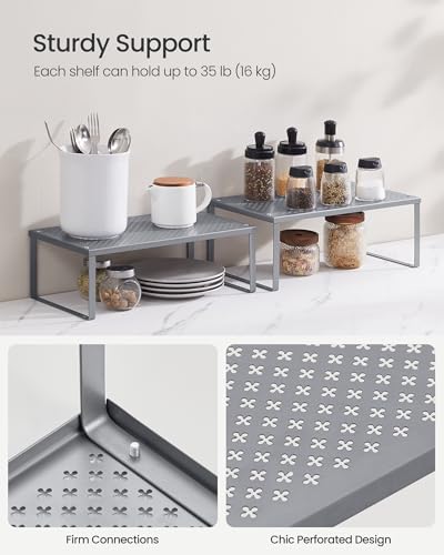 Set of 2 Metal Spice Racks (Silver / 2 Tiers (9"D x 15.7"W))