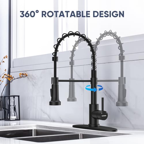 Black Kitchen Faucet with Pull Down Sprayer (Matte Black)