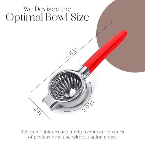 Metal Lemon Squeezer