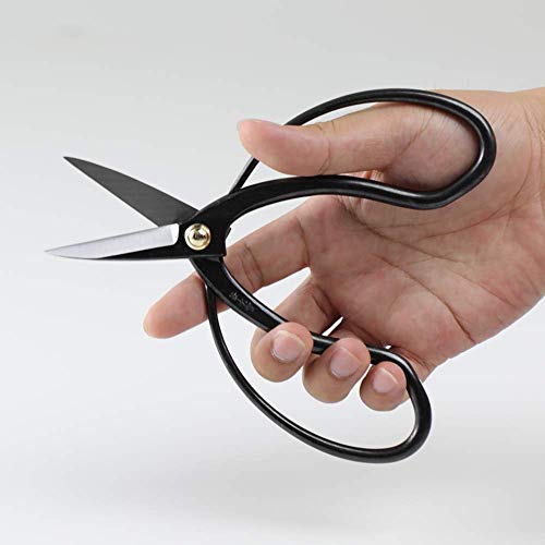 Hanafubuki Wazakura Bonsai Scissors Made in Japan 7inch (Traditional 7")