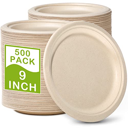 500 Pack Compostable Paper Plates 9 inch (9 inch 500 pack)