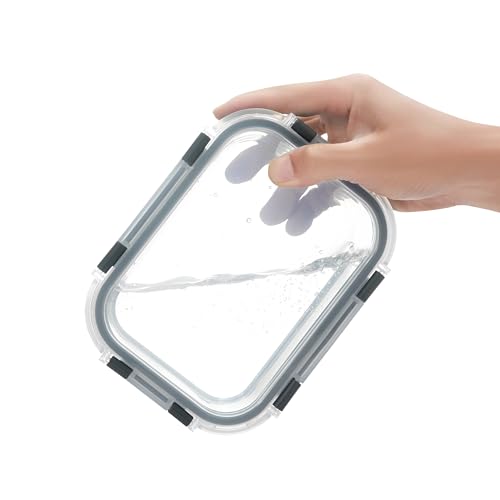 10 Pack 22 oz Glass Meal Prep Containers