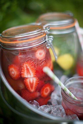 Super Jar 1.5L (48oz (Single))