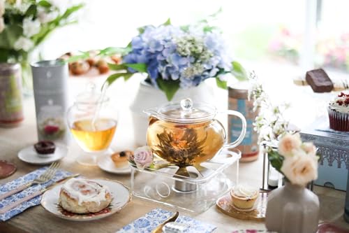 Kyoto 2-in-1 Tea Kettle and Tea Maker – Glass Teapot with Removable Loose Tea Filter – Tea Connoisseur's Choice (12 FL OZ (1 CUP))