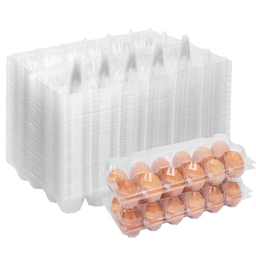 60 Pack Plastic Egg Cartons Cheap Bulk (60Pack-2x6Grids)