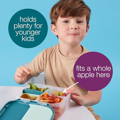 Mini Lunch Box