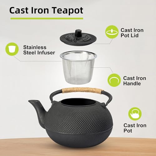 Japanese Tetsubin Cast Iron Teapot Tea Kettle pot with Stainless Steel Infuser for Stovetop Safe Coated with Enameled Interior 22 oz (22 oz / 650 ml)