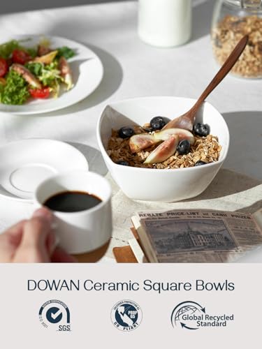 Porcelain Soup Bowls Set of 6 (27 OZ / Soft White)
