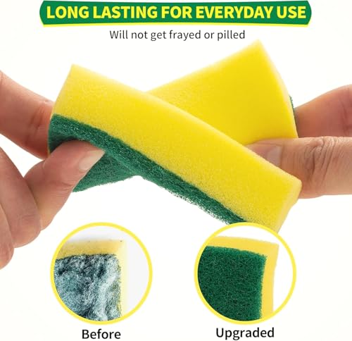 Sponges Kitchen (60 Pack)