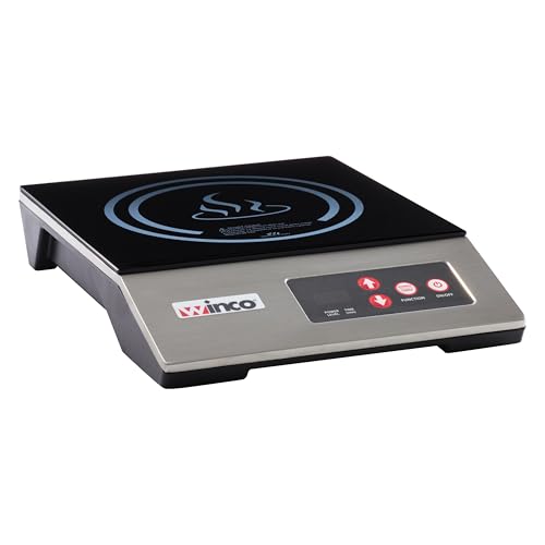 1800W Black Silver Portable Induction Cooktop Burner (1800 W (120V, NEMA 1-15P Plug) / Countertop / Silver/Black)