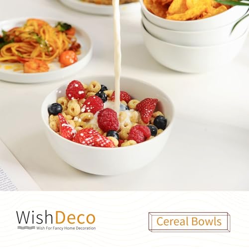 Cereal Bowls Set of 4 (20 oz)
