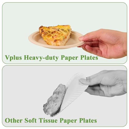 125 Pack Compostable Bagasse Paper Plates 6 inch (6 in Nature 125)