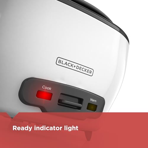 6 Cup Rice Cooker with Steaming Basket (6-cup / rice cooker)
