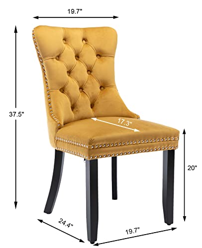 Gold Velvet Dining Chairs Set of 2 (Glod)