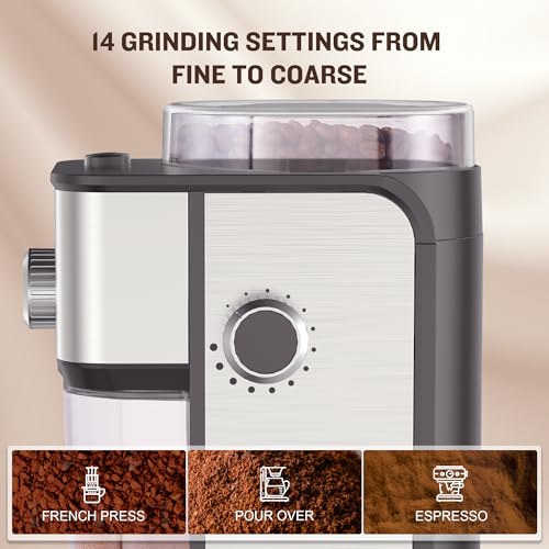 Burr Coffee Grinder (Polished Silver)