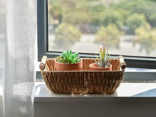 Hand Woven Small Wicker Baskets (Light Brown / Small)