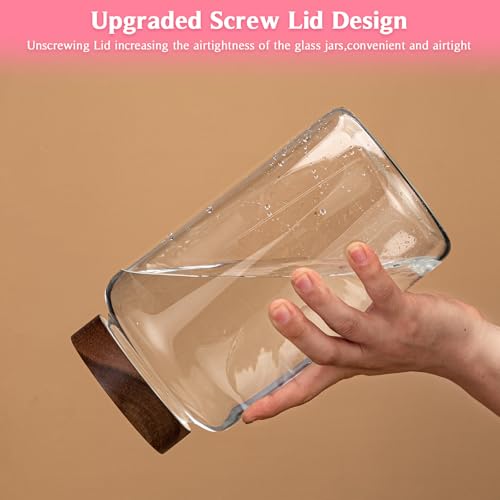 Large Glass Coffee Jars with Spoon (2300ml/77oz)