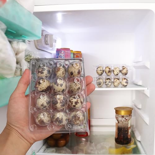 200 Pack Quail Egg Cartons (200 Pack Quail Egg Cartons 12 Grids)