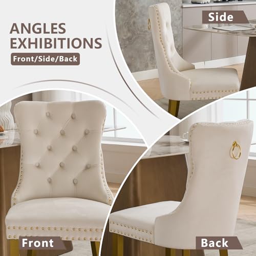 Cream Velvet Dining Chairs Set of 6 (Cream)