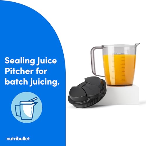 Juicer 800W Juicer