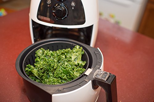 Purify 2 Liter Air Fryer