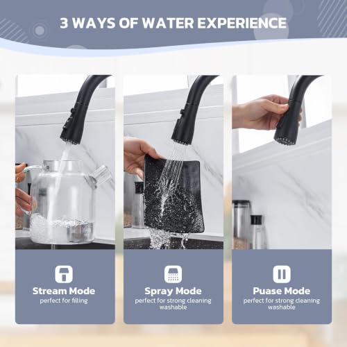 Kitchen Faucet with Soap Dispenser (Matte Black Finish)