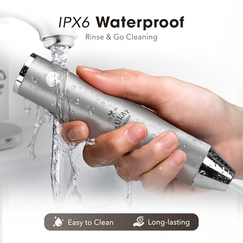 Rechargeable Milk Frother Handheld (Alpha Silver / Rechargeable Z1 Motor Max)