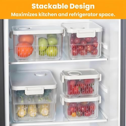 6 Pack Large Fruit Storage Containers for Fridge with Timing Knob (S+M+L-6 Pack)
