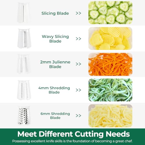 Rotary Cheese Grater 5 Blades (White)