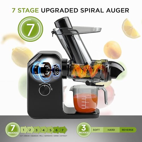 Cold Press Juicer Machine (Black)