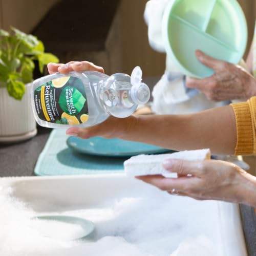 Hand Dish Liquid Yuzu Basil Rejuvenating 19 fl oz (19 Fl Oz (Pack of 1))