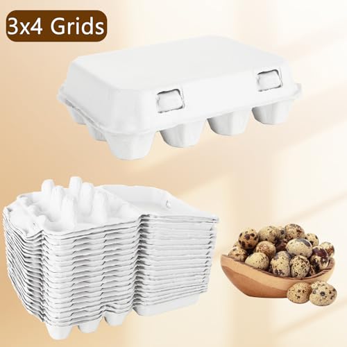 50 Pack Quail Egg Cartons