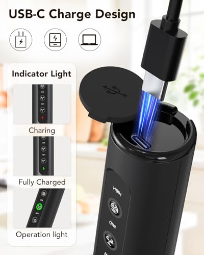 3-in-1 Electric Milk Frother with Stand, Rechargeable LED Display & 3 Speeds - Portable Whisk for Coffee, Protein Shakes, Baking - Makes Latte, Cappuccino, Matcha Foam -Blk (Rechargeable with stand) (black-5)