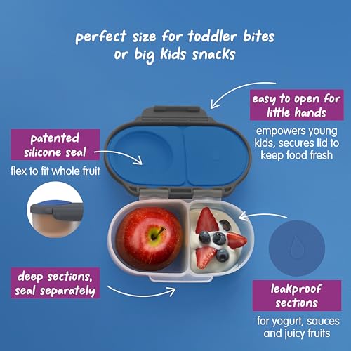 Lunch Box Kids 2 (Gray/Blue / 2-pack)