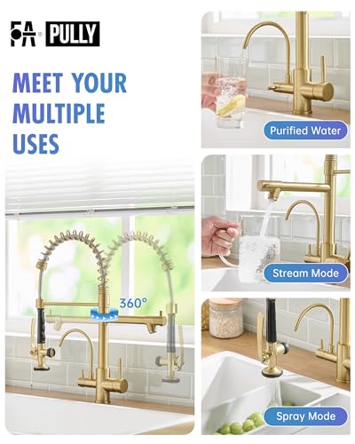 3 Way Kitchen Faucets with Sprayer and Water Filter Brushed Gold (Brushed Gold)