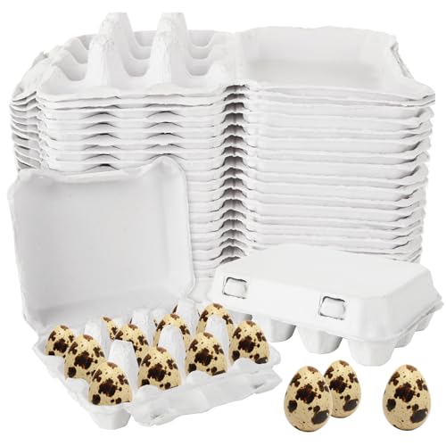 50 Pack Quail Egg Cartons