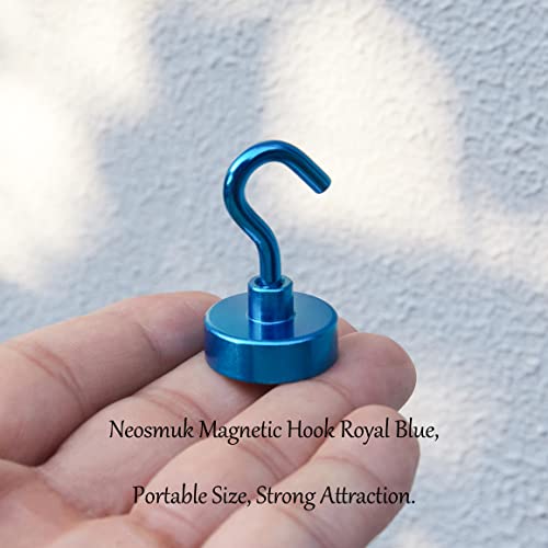 Magnetic Hooks (10 Count)