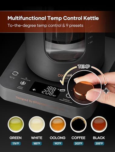 Electric Tea Kettle with Infuser (Dark Gray)
