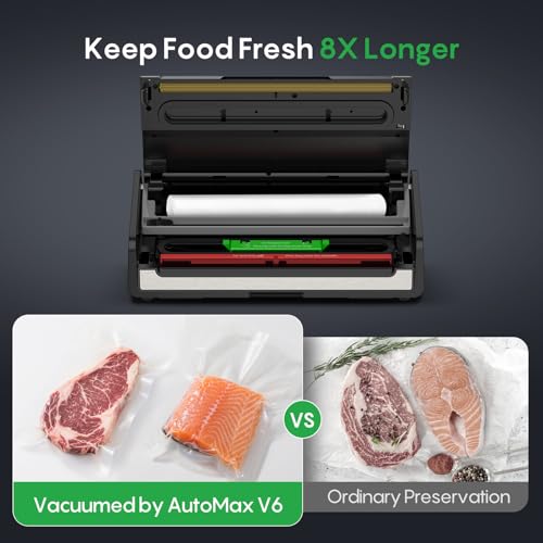 Food Vacuum Sealer with Automatic Bag Detection & Built (Silver / Large)