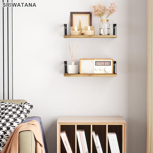 Carbonized Black Deep Floating Shelves (Carbonized Black)