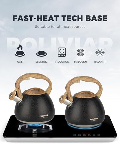 POLIVIAR Tea Kettle (2.7 Quarts / Crackle-Black)