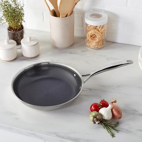 Paradigm 10 Inch Ceramic Fry Pan (10" Fry Pan)