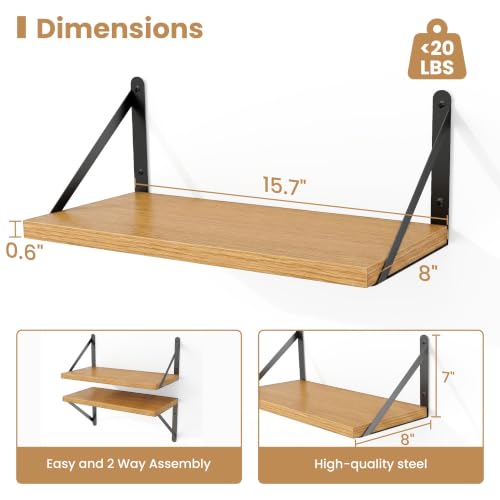 Floating Book Shelves for Wall