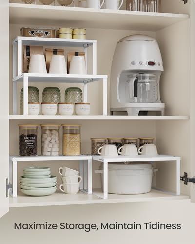 Set of 2 Metal Spice Racks (White / 2 Tiers (11"D x 12.6"W))
