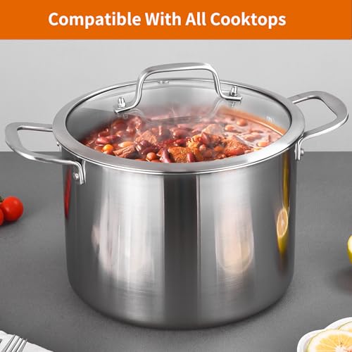 Tri ply Stainless Steel 8 Quart Heavy Duty Induction Stock Pot (Silver / 8QT Stockpot)